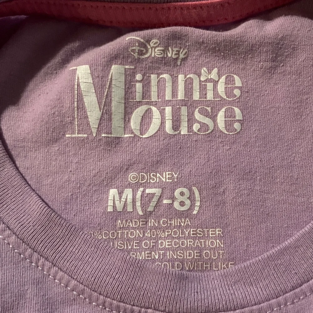 Disney Minnie Mouse and Gang with Mountain Background Lilac‎ Tee